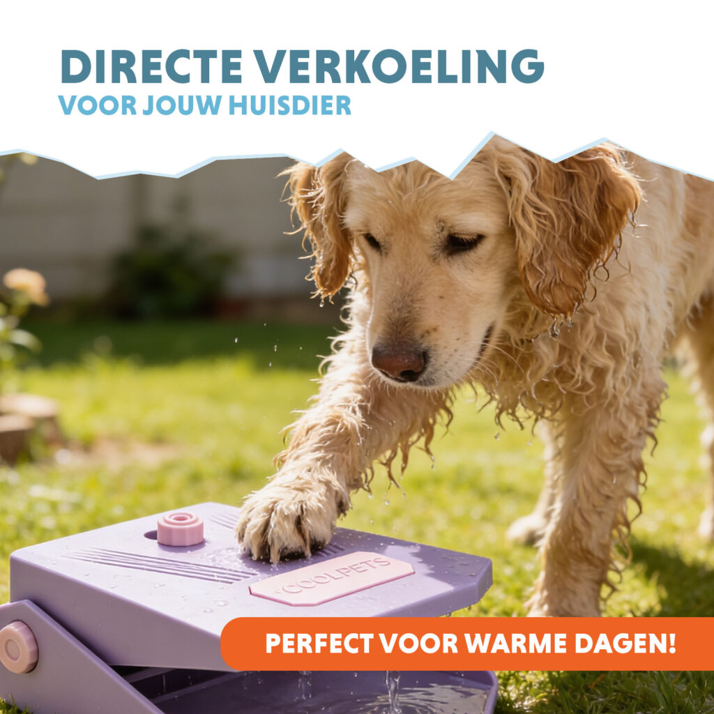 Coolpets Splash Water Fountain Lila - Buitenwaterfontein met Voetpedaal - afbeelding 2
