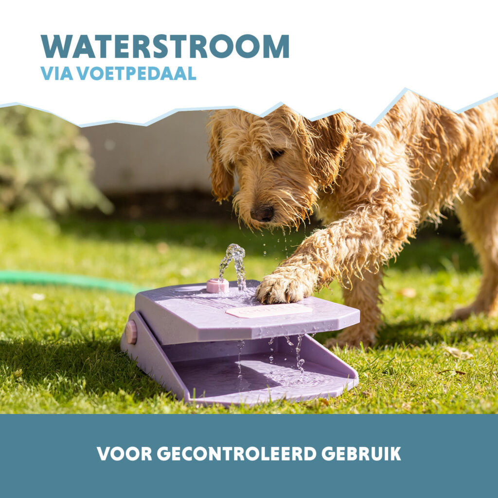 Coolpets Splash Water Fountain Lila - Buitenwaterfontein met Voetpedaal - afbeelding 4