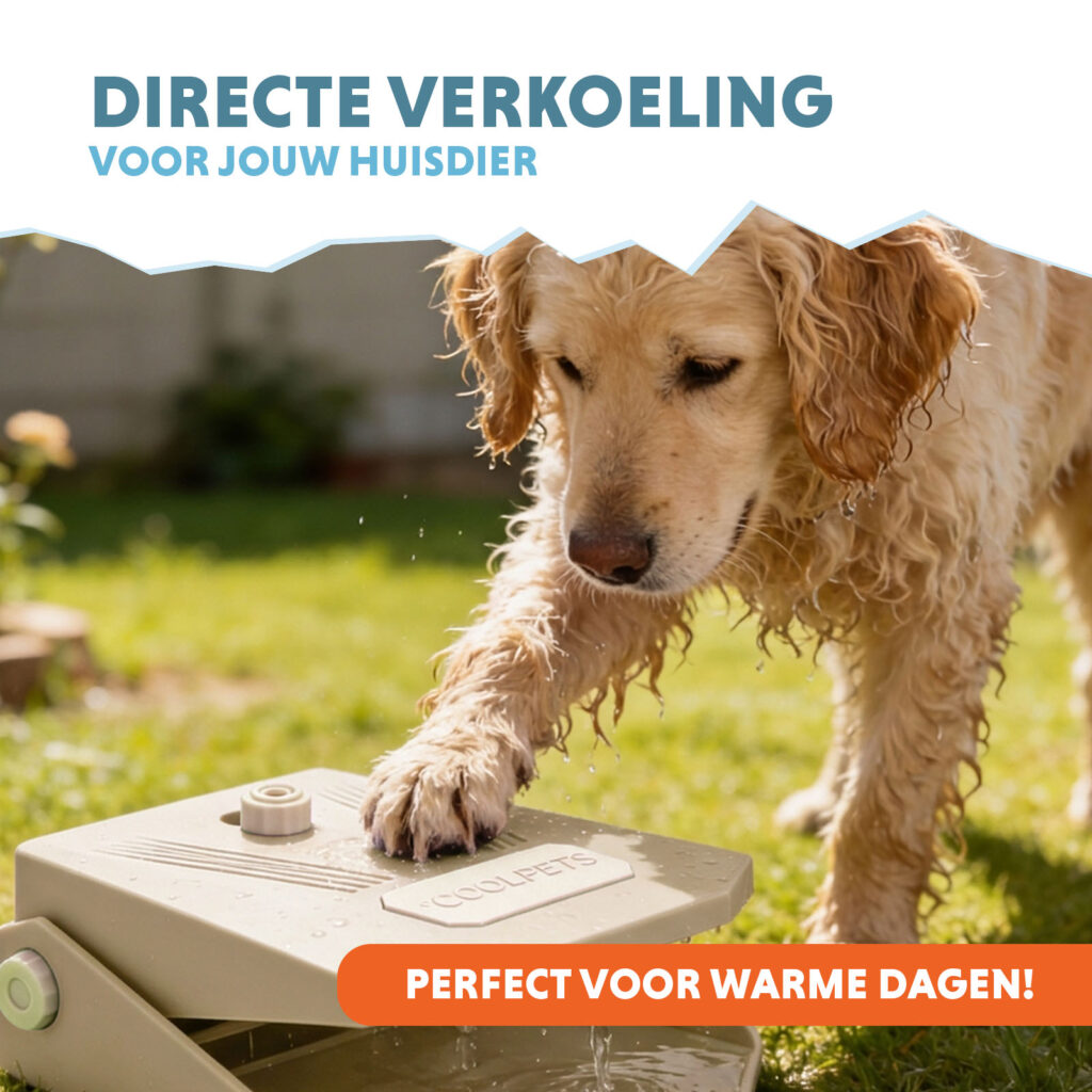 Coolpets Splash Water Fountain Beige - Waterfontein voor Buiten - afbeelding 2