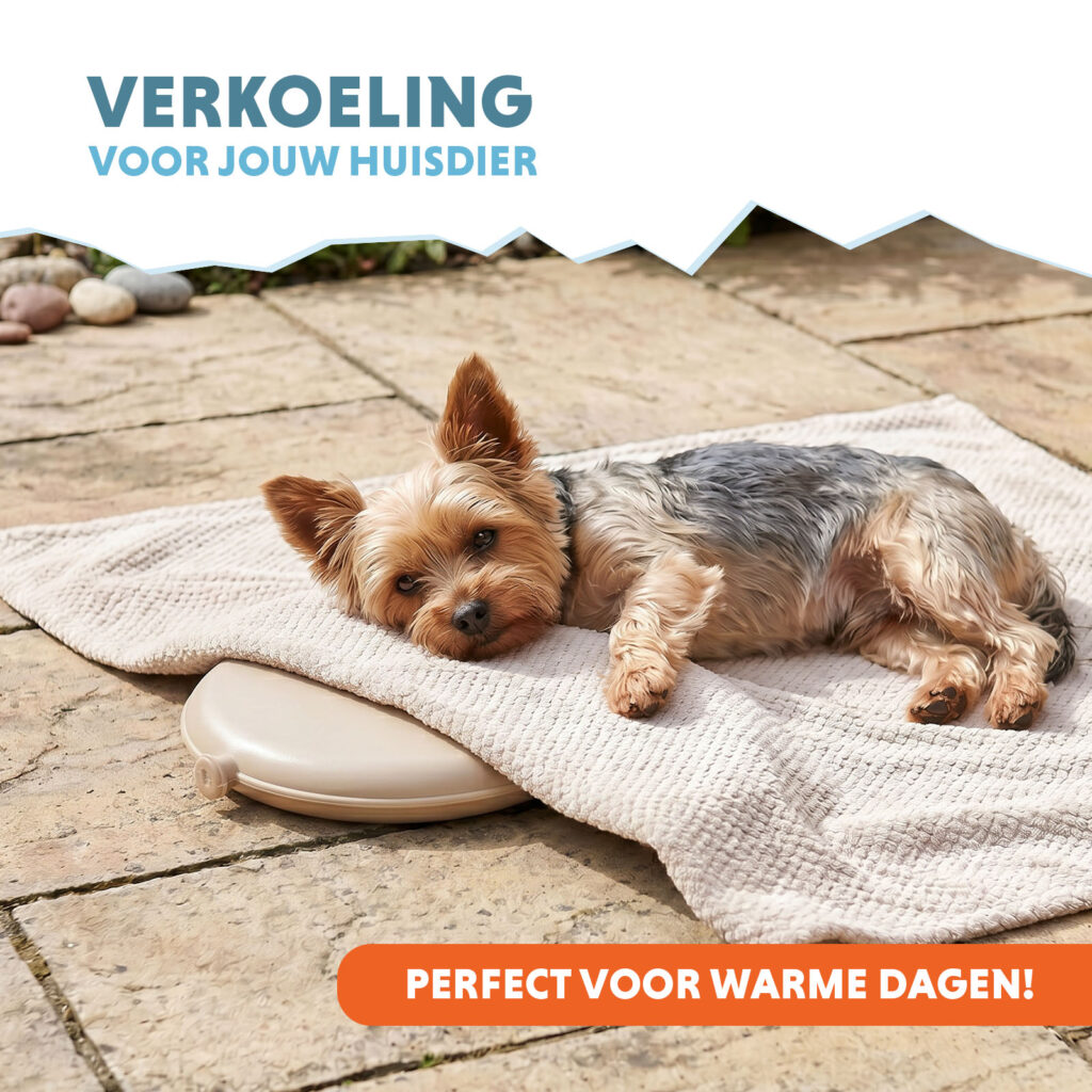 Coolpets Cooling Disc Beige - Verkoelingsdisc voor Huisdieren - afbeelding 2