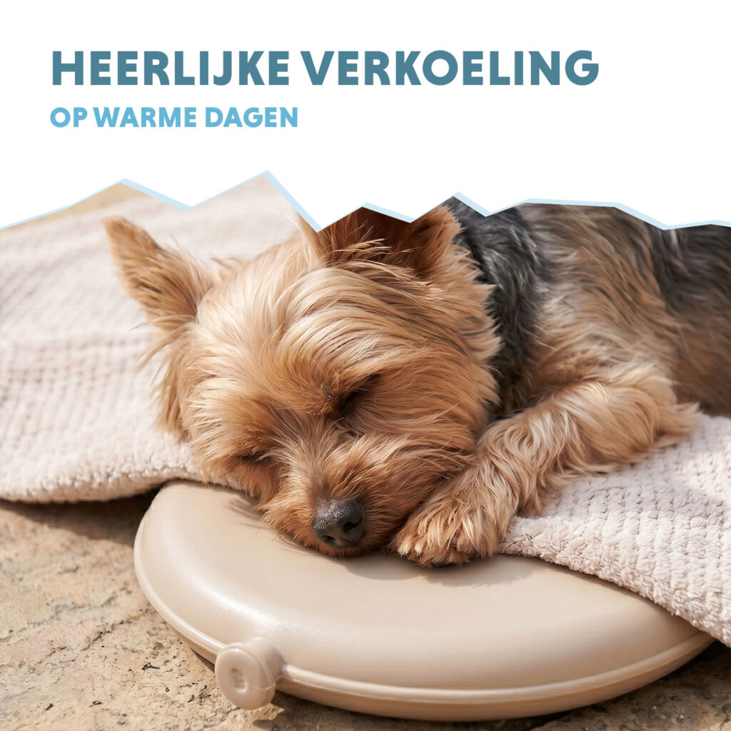 Coolpets Cooling Disc Beige - Verkoelingsdisc voor Huisdieren - afbeelding 6