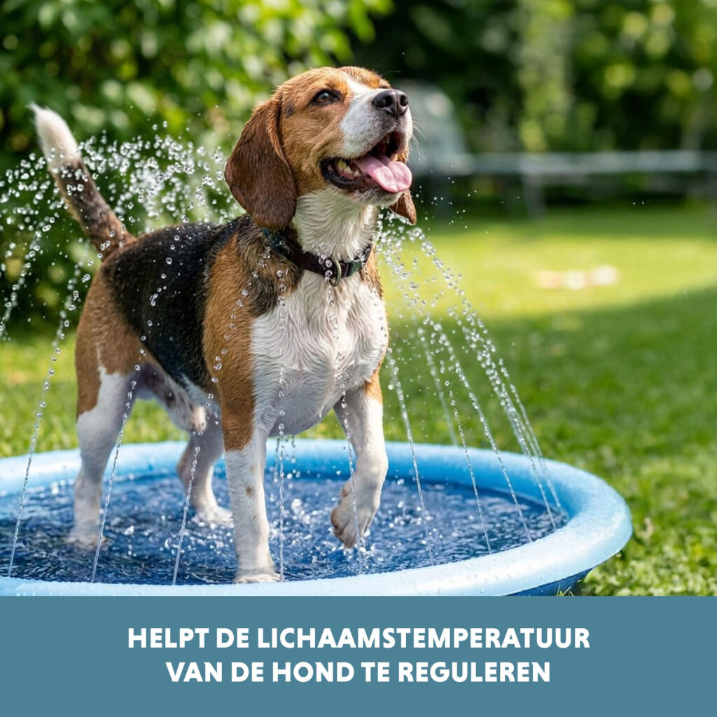 Coolpets Splash Sprinkler Pad S 100 cm - Verkoelende watermat voor honden - afbeelding 6