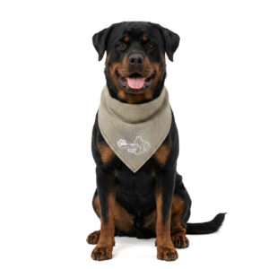 Coolpets Cooling Bandana Beige L voor Honden