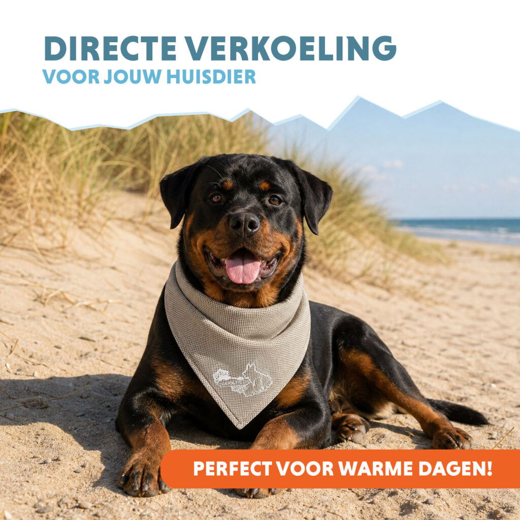Coolpets Cooling Bandana Beige L voor Honden - afbeelding 2
