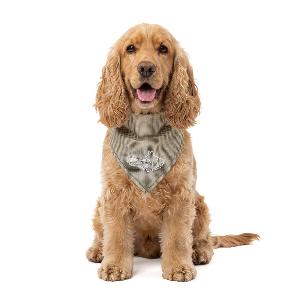 Coolpets Cooling Bandana Beige M voor Honden - afbeelding 1