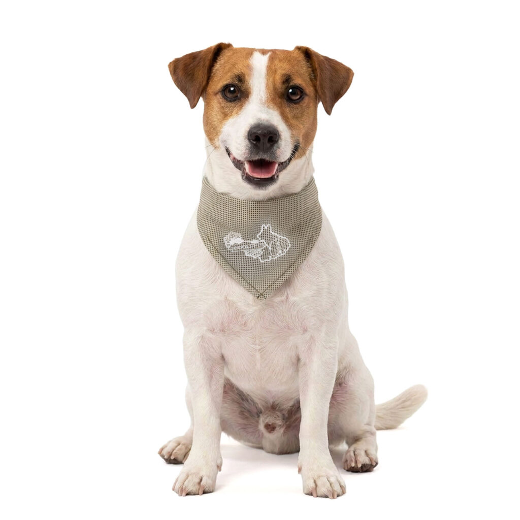 Coolpets Cooling Bandana Beige S voor honden - afbeelding 1
