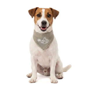 Coolpets Cooling Bandana Beige S voor honden
