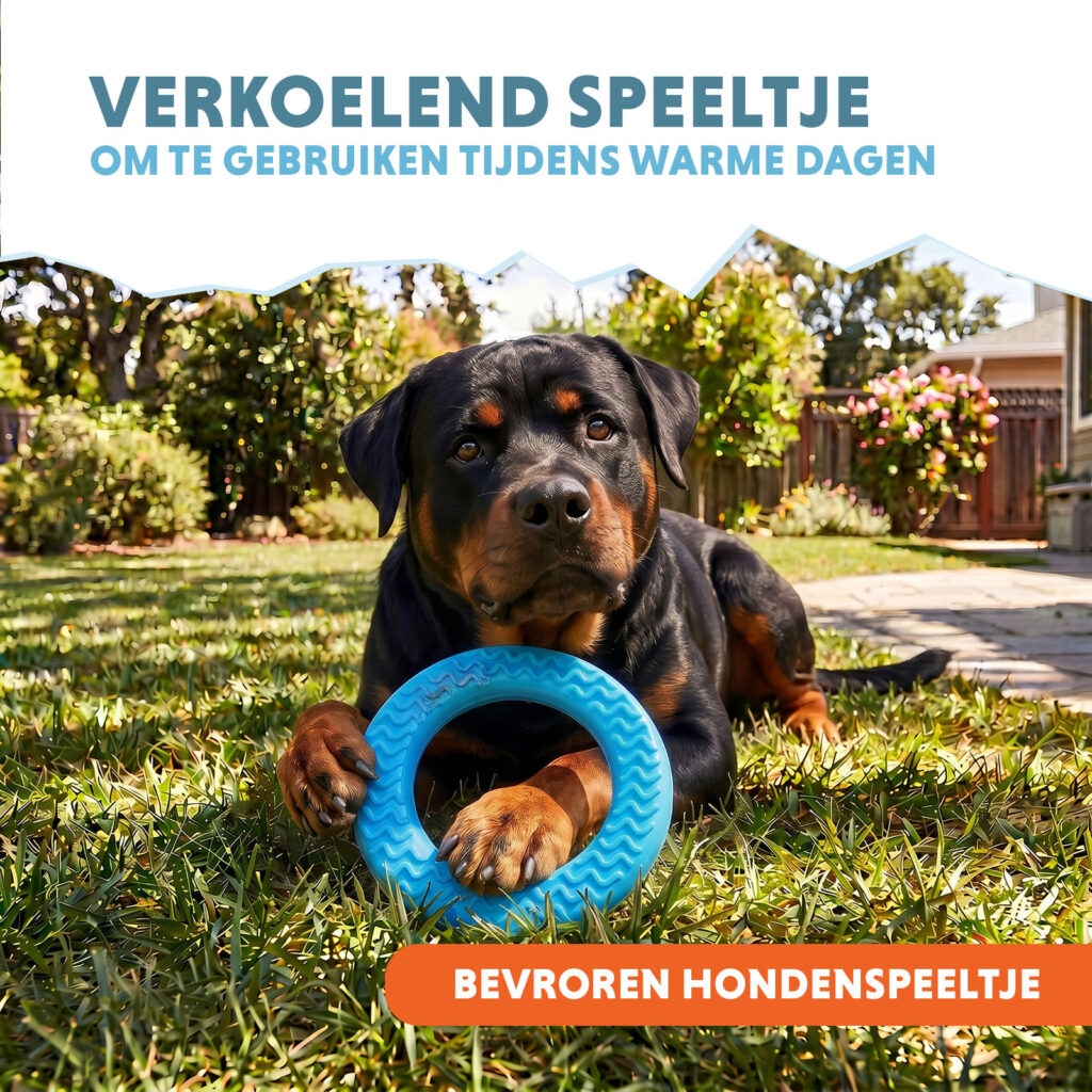 Coolpets Ice Ring - Verkoelend Hondenspeeltje voor Warme Dagen - afbeelding 5
