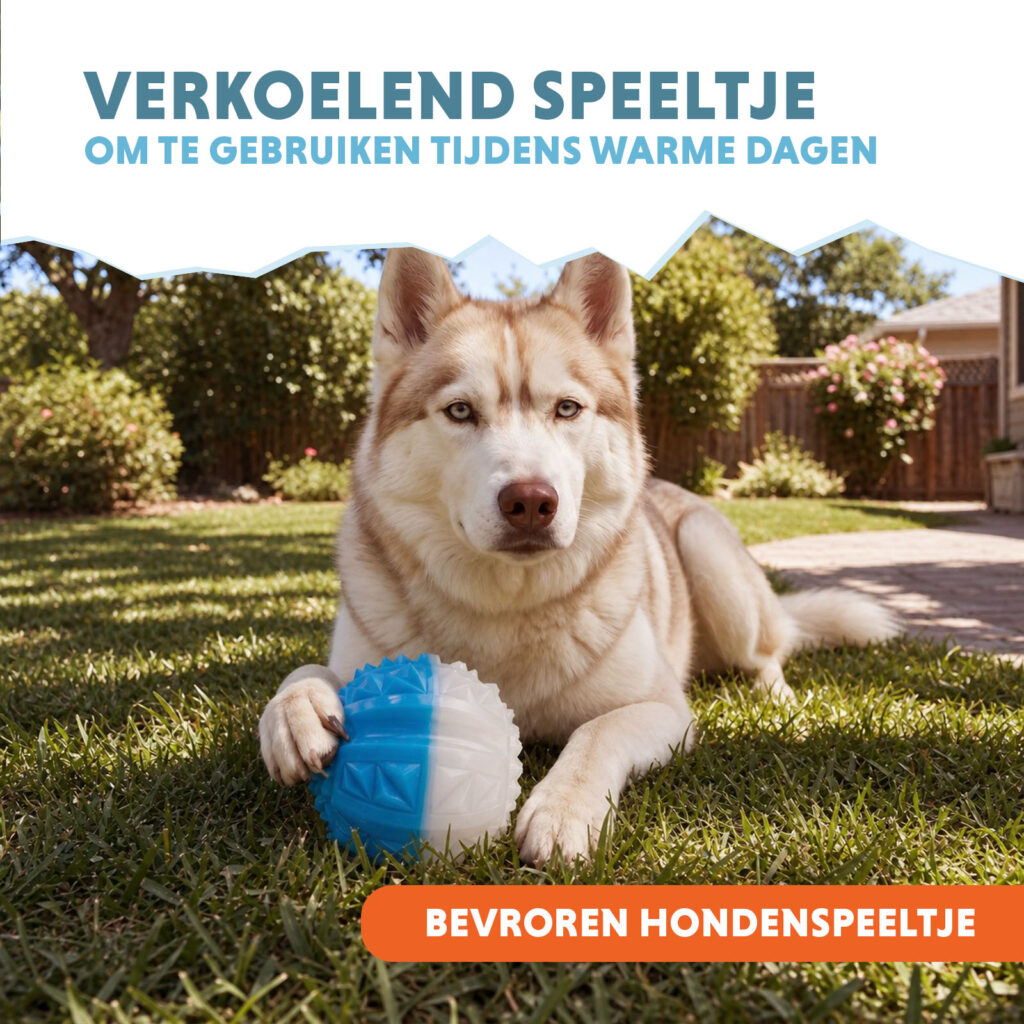 Coolpets Ice Ball - Verkoelend Hondenspeeltje voor Zomerse Dagen - afbeelding 5
