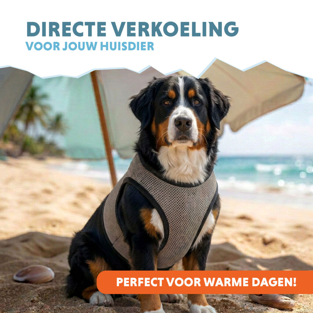 Coolpets Cooling Vest XL (ruglengte 40 cm) voor huisdieren - afbeelding 2