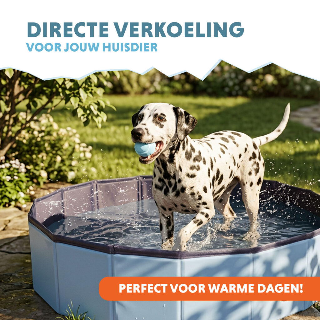 CoolPets Splash Dog Pool ø 80 x 20 cm - Hondenzwembad - afbeelding 2