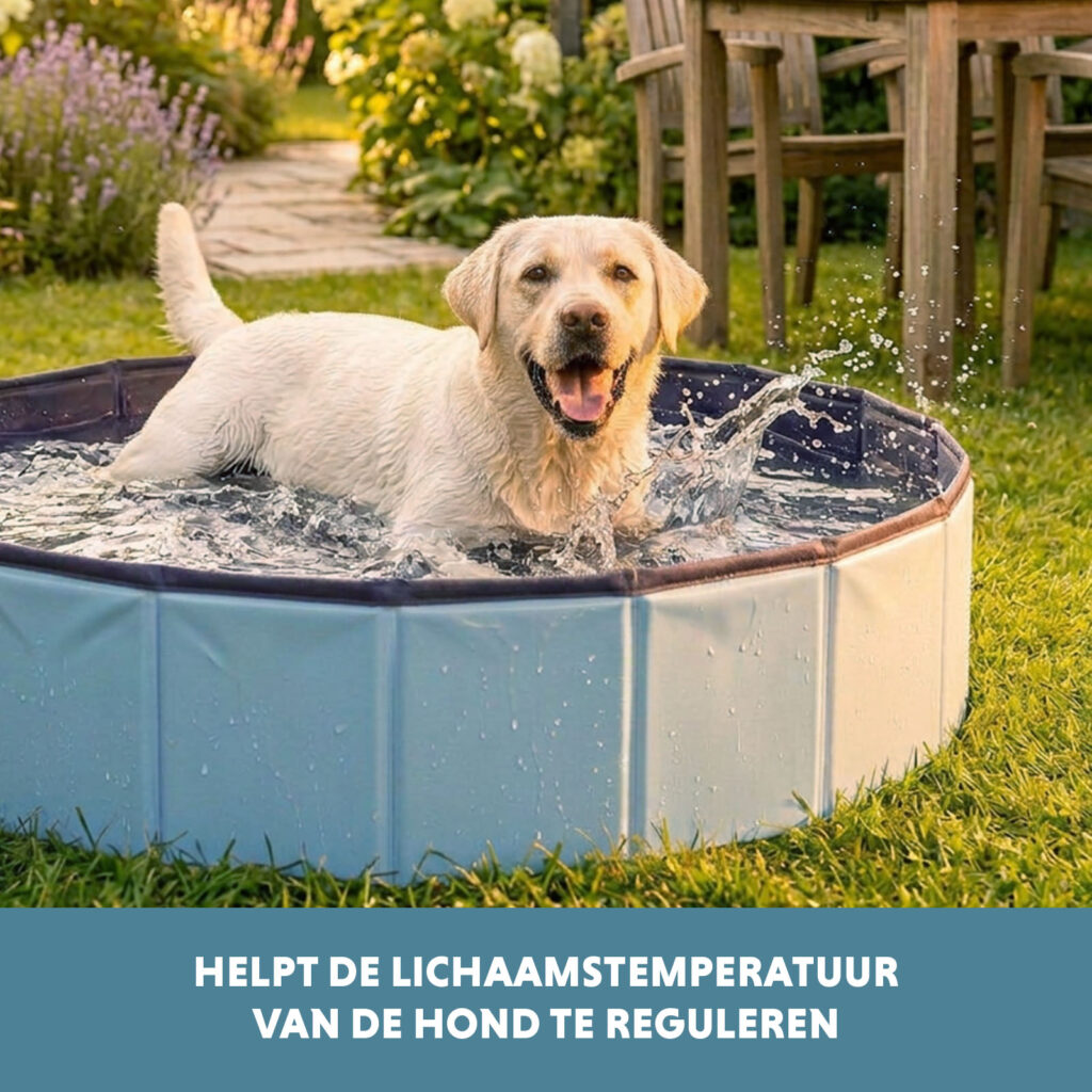 CoolPets Splash Dog Pool ø 100 x 30 cm - Honden zwembad - afbeelding 6