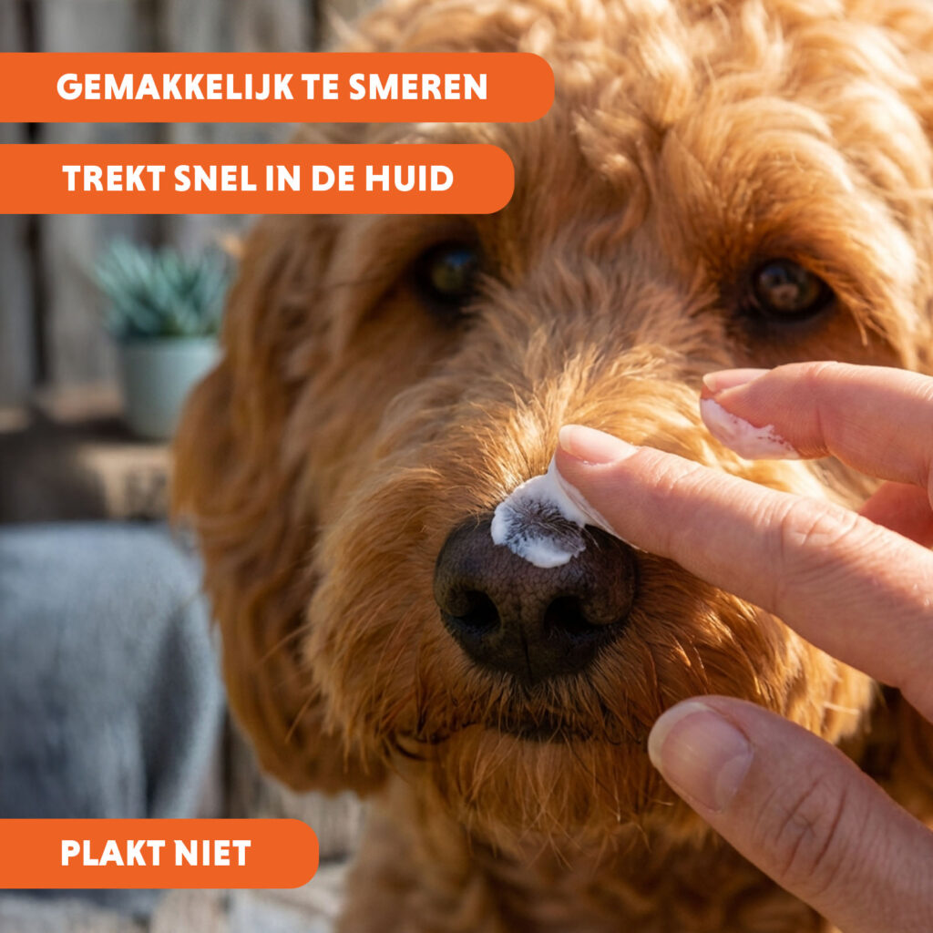 CoolPets Sunblock Creme 150 g - Zonnebrandcrème voor honden - afbeelding 5