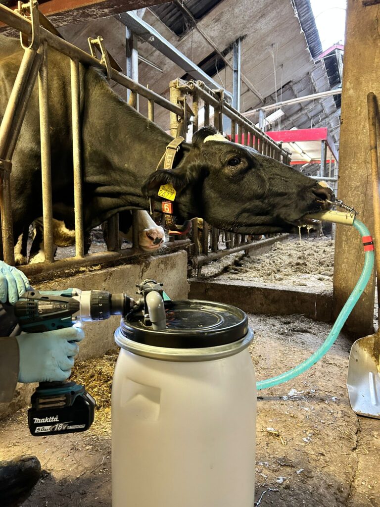 Excellent Cow Drencher Boormachineaangedreven 25 Liter - afbeelding 2