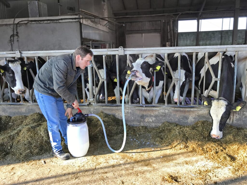 Excellent Cow Drencher - Professionele penspomp voor koeien - afbeelding 3