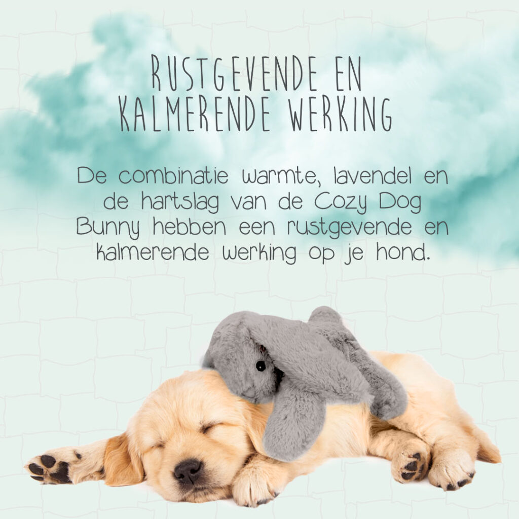 Cozy Dog Bunny Grijs - Knuffel met warmte en hartslag voor honden - afbeelding 3