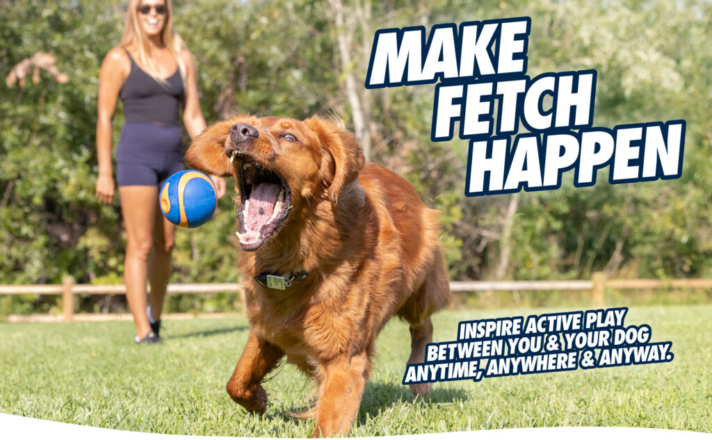 Chuckit! Ultra Squeaker Ball M (2-pack) - Speelgoed voor Honden - afbeelding 5