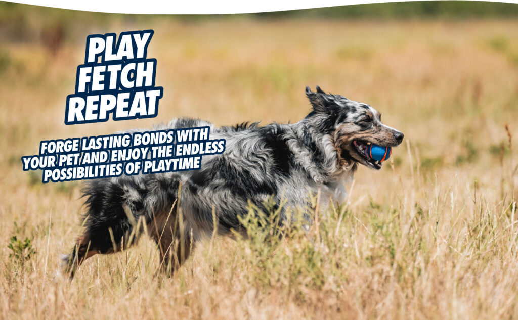 Chuckit! Ultra Squeaker Ball S (2-pack) - Speelgoed voor Honden - afbeelding 5