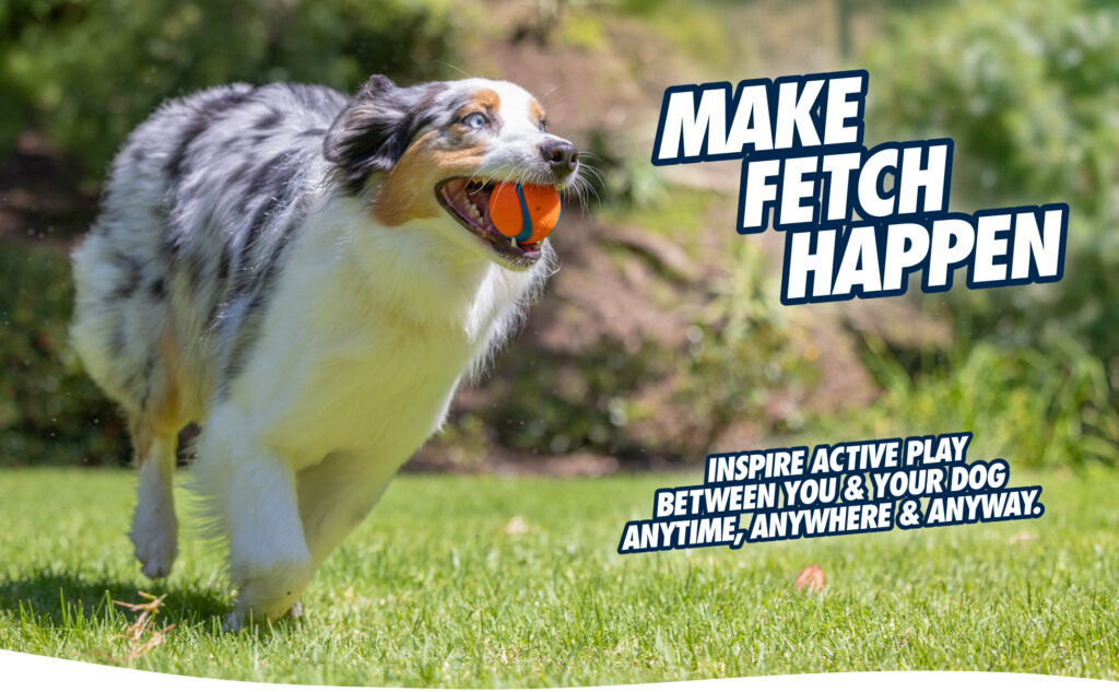 Chuckit! Fetch Ball S (2-pack) - Rubber Speelgoed voor Honden - afbeelding 3