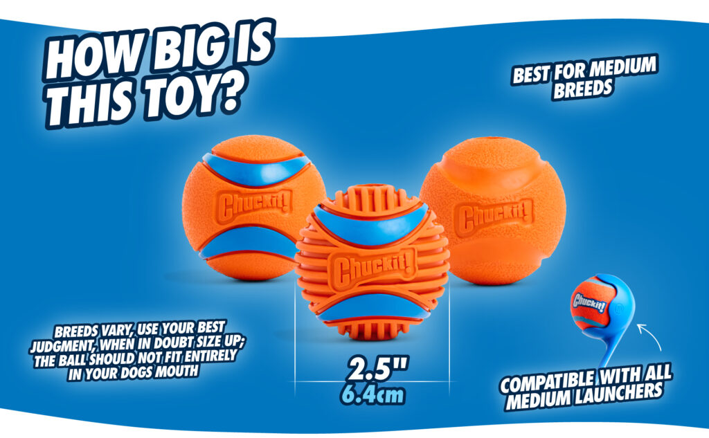 Chuckit! Fetch Ball L - Natuurlijke rubberen bal voor honden - Ø 7 cm - afbeelding 4