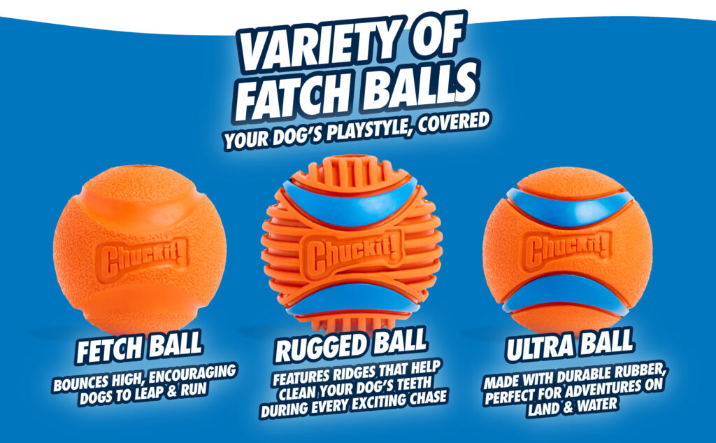 Chuckit! Fetch Ball L - Natuurlijke rubberen bal voor honden - Ø 7 cm - afbeelding 6