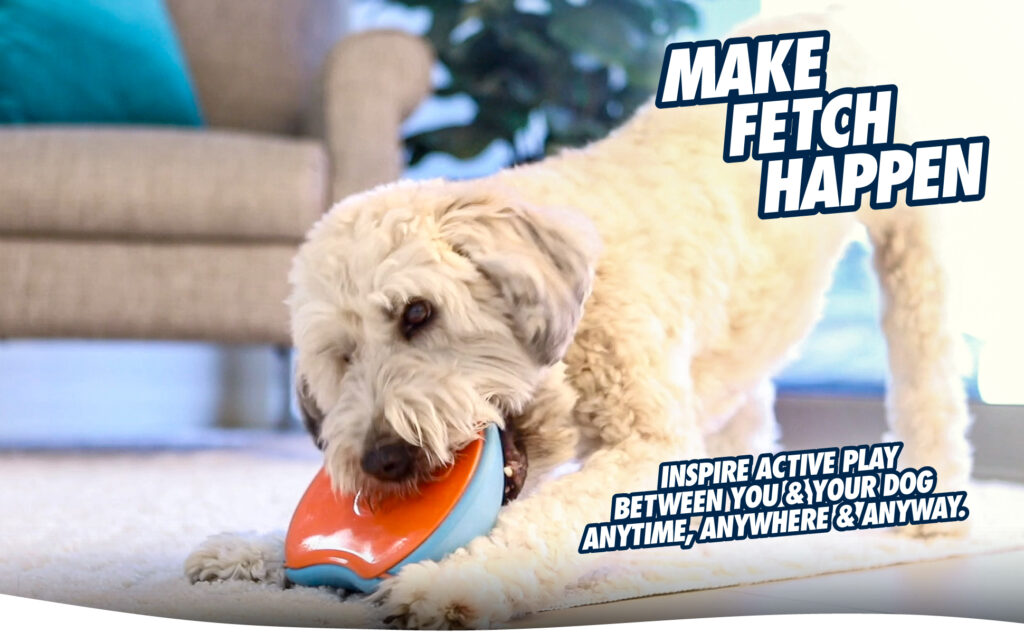 Chuckit! Indoor Super Slider - Speelgoed voor Honden - afbeelding 4
