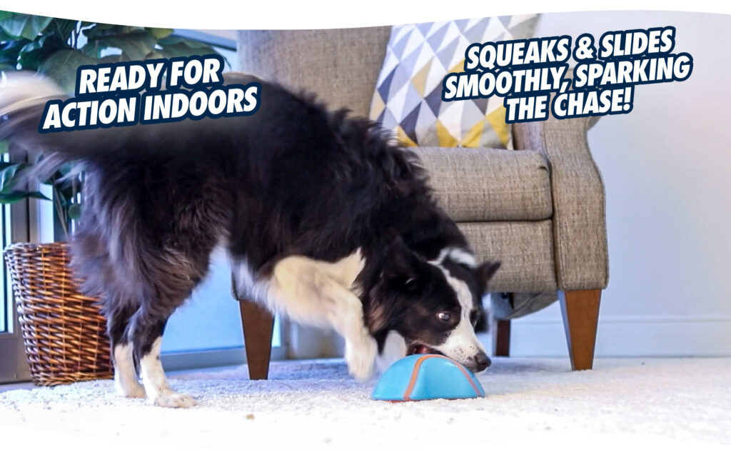 Chuckit! Indoor Super Slider - Speelgoed voor Honden - afbeelding 6