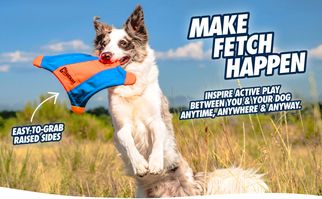 Chuckit! Ultra Flying Squirrel - Stevige Frisbee voor Hondenspelletjes - afbeelding 6