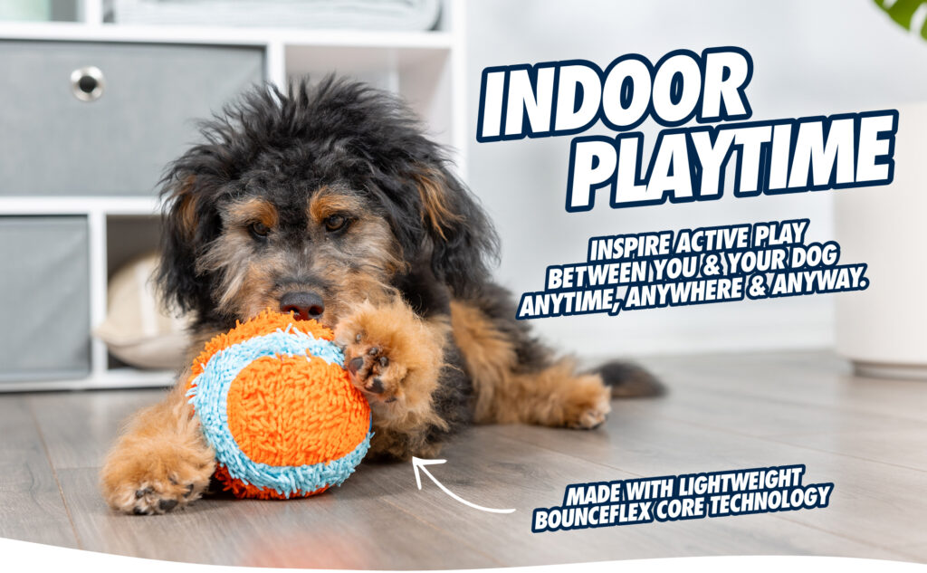 Chuckit! Indoor Ball - Zachte speelgoedbal voor binnen - afbeelding 3