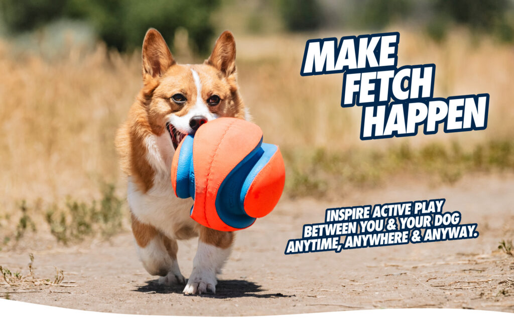 Chuckit! Kick Fetch Dog S - Speelbal voor Honden Ø 14 cm - afbeelding 6