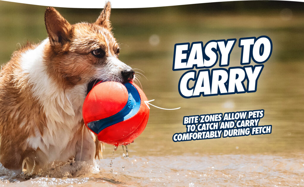 Chuckit! Kick Fetch Dog S - Speelbal voor Honden Ø 14 cm - afbeelding 5
