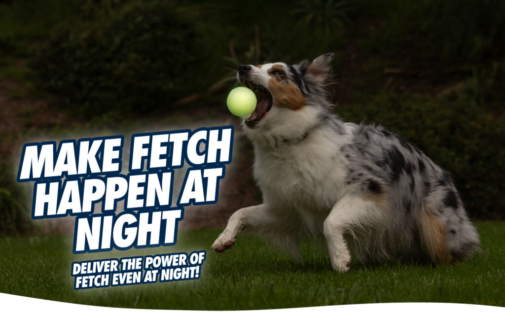Chuckit! Max Glow XL - Lichtgevende Hondenspeelbal voor Donker - afbeelding 3