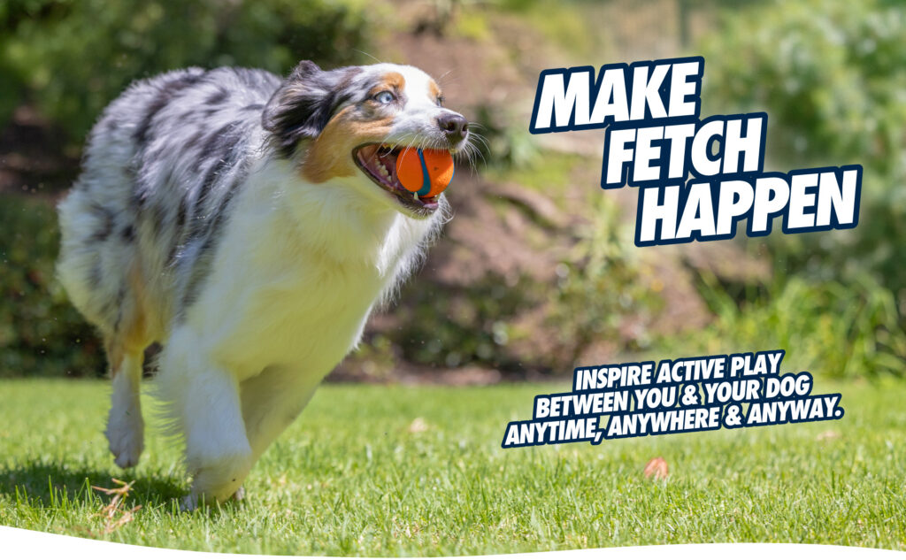 Chuckit! Ultra Squeaker Ball S (2-pack) - Speelgoed voor Honden - afbeelding 6
