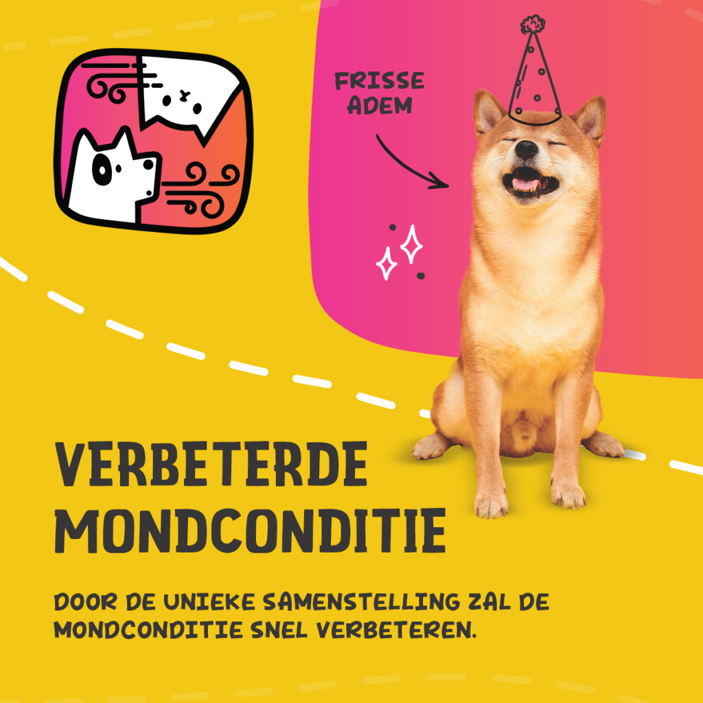 Excellent Pets Dental Oral Care 60 g - Poeder voor Honden en Katten - afbeelding 3