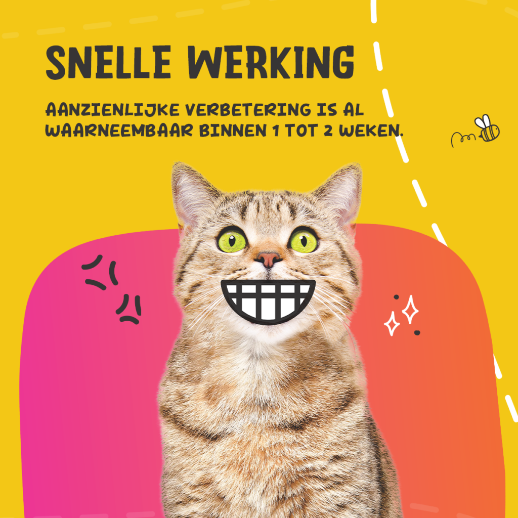 Excellent Pets Dental Oral Care 60 g - Poeder voor Honden en Katten - afbeelding 5
