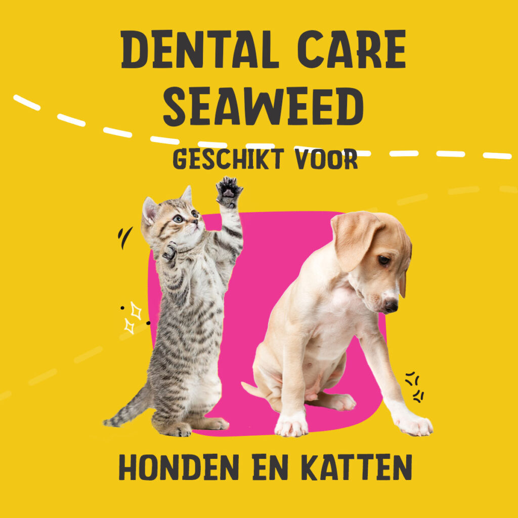 Dental Care Seaweed 150 g - Excellent Pets - afbeelding 2