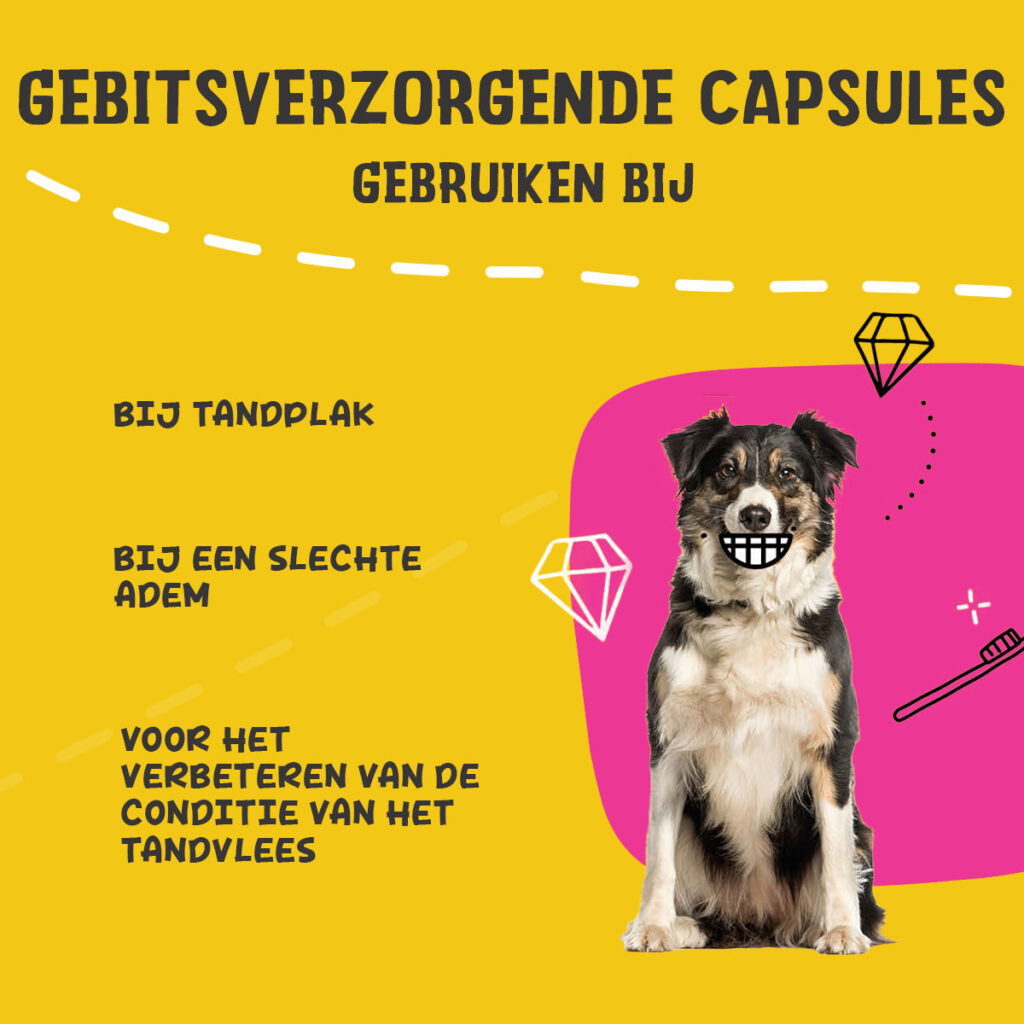 Excellent Pets Dental Oral Care Capsules 90 stuks voor honden - afbeelding 4