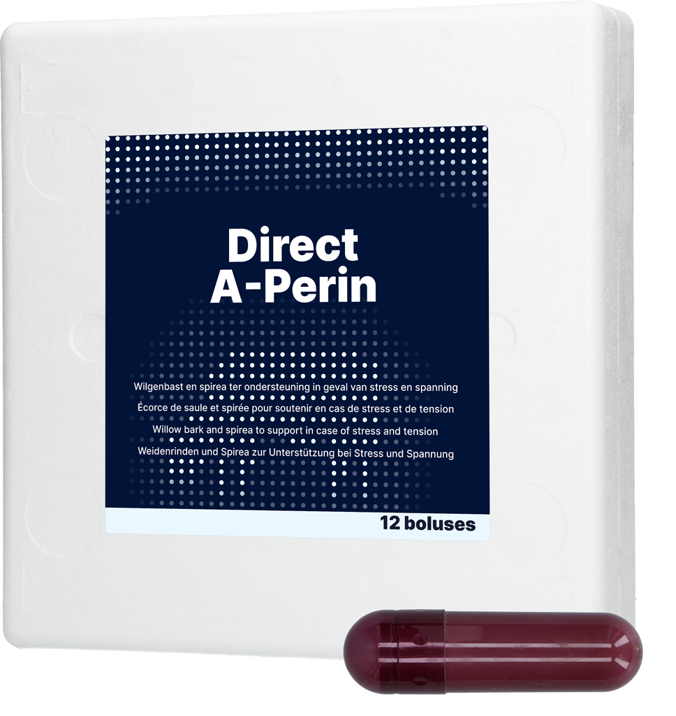 Direct A-Perin Bolus 12 x 77 g - Welzijnsbevorderende bolus voor rundvee - afbeelding 1