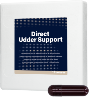 Direct Udder Support 12 x 60 g - Bolus voor Uiergezondheid