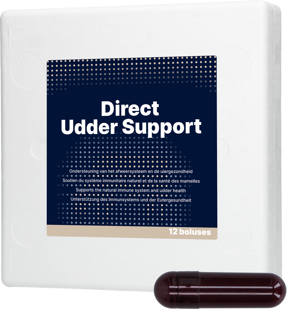 Direct Udder Support 12 x 60 g - Bolus voor Uiergezondheid - afbeelding 1
