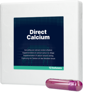 Direct Calcium 12 x 94 g - Calcium Bolus voor Melkkoeien