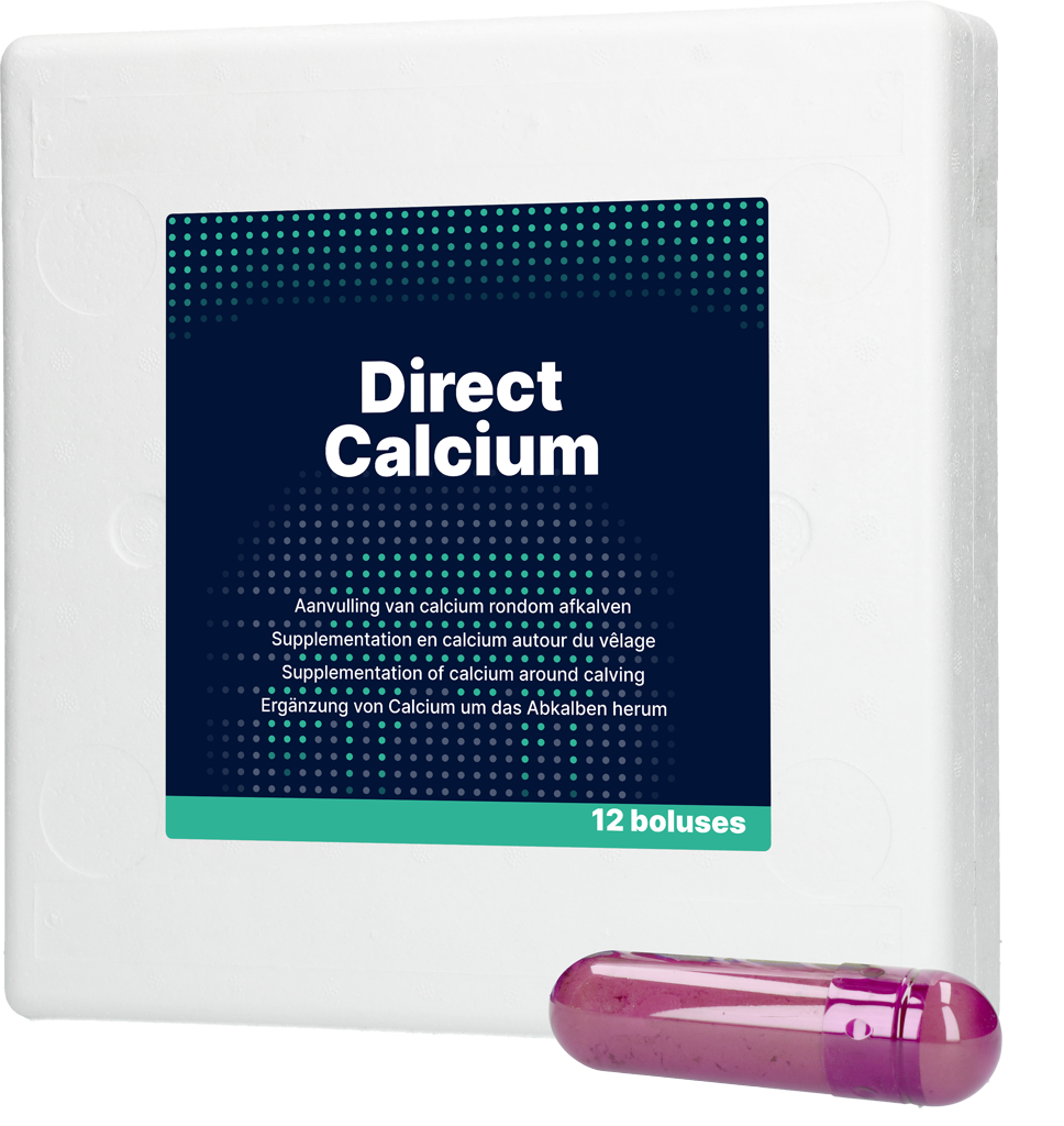 Direct Calcium 12 x 94 g - Calcium Bolus voor Melkkoeien - afbeelding 1