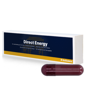 Direct Energy 4 x 67 g - Energiebolus voor Melkvee