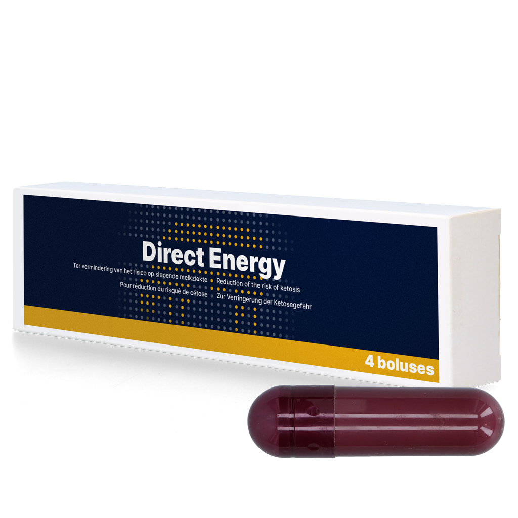 Direct Energy 4 x 67 g - Energiebolus voor Melkvee - afbeelding 1