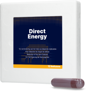 Direct Energy 12 x 67 g - Energiebolus voor melkvee