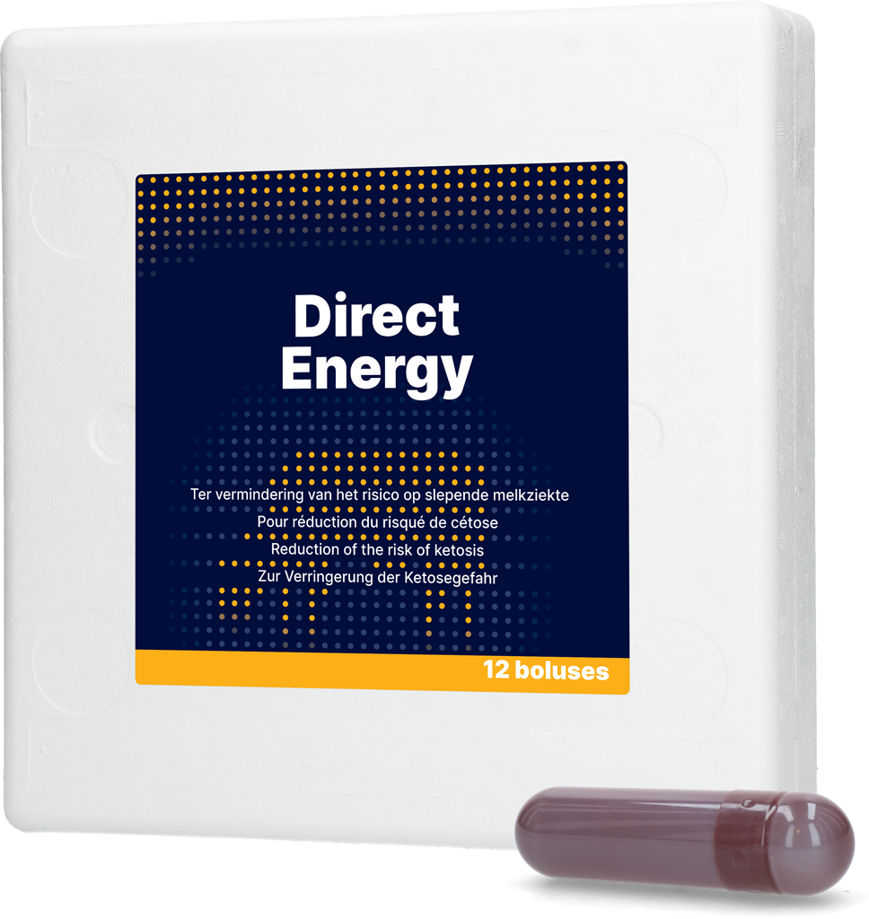 Direct Energy 12 x 67 g - Energiebolus voor melkvee - afbeelding 1