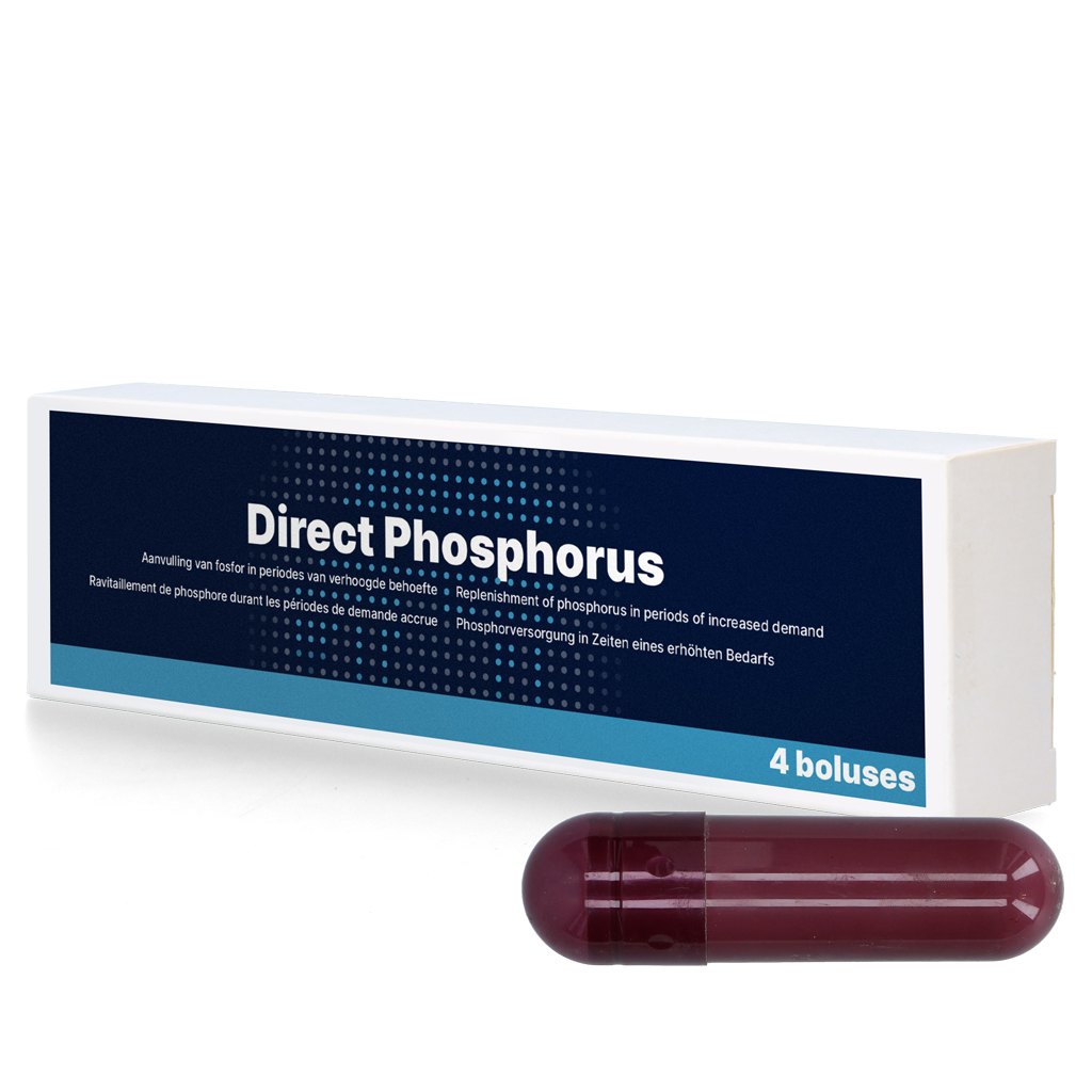 Direct Phosphorus 4 x 123 g - Bolus voor koeien na afkalven - afbeelding 1