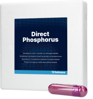 Direct Phosphorus 12 x 123 g - Bolus voor koeien na afkalven