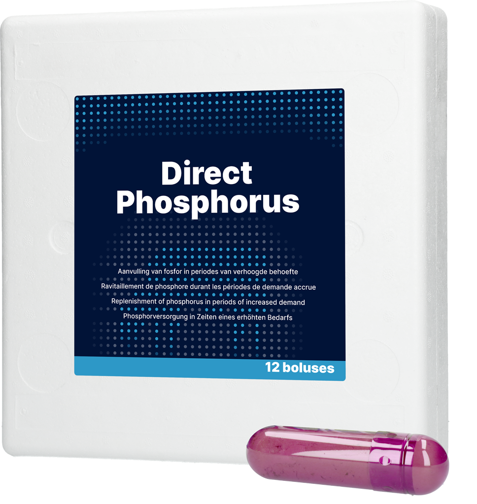 Direct Phosphorus 12 x 123 g - Bolus voor koeien na afkalven - afbeelding 1