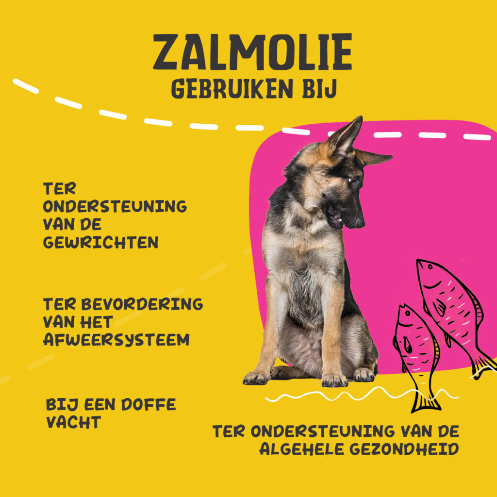 Excellent Pets Dog Salmon Oil 250 ml - Zalmolie voor Honden - afbeelding 4